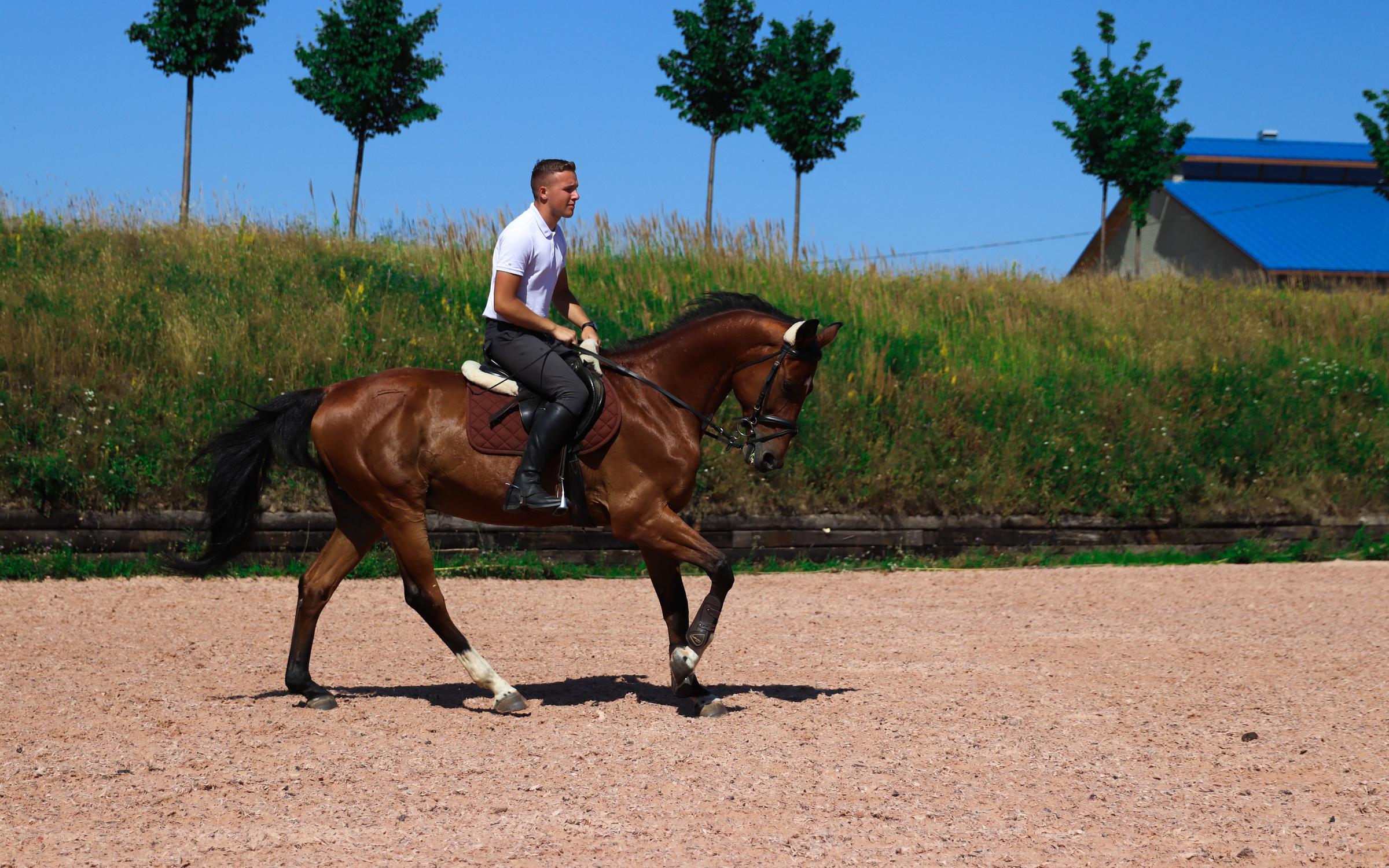Исток, конноспортивный клуб в Янино-1 в Санкт-Петербурге 🎓 отзывы, фото ...