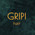 фотография Gripi hair