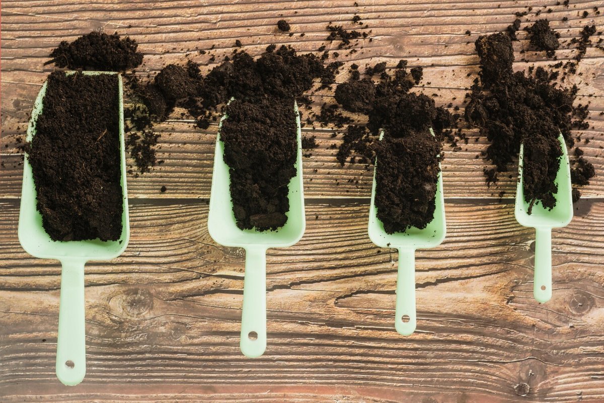 Грунт для рассады