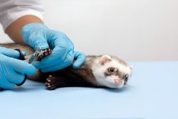 Выездная ветеринарная клиника Зоомир, с рейтингом 5 - находится по адресу Саратов, Зенитная улица, 10 