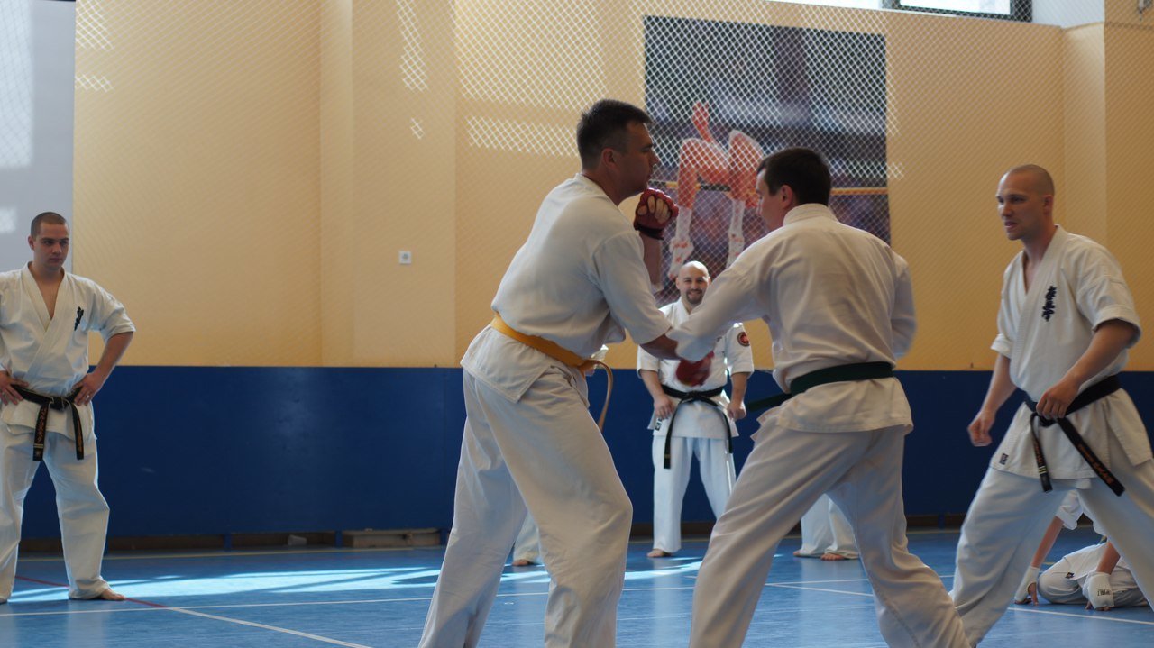 клуб каратэ. каратэ екатеринбург для детей с 17 лет. каратэ киокушинкай екатеринбург. каратэномичи пояса. карате екатеринбург мебель.