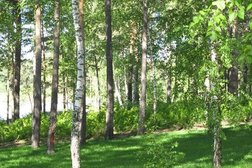 Туристическая фирма Спутница, с рейтингом 2.5 - находится по адресу Новосибирск, Димитрова проспект, 7 