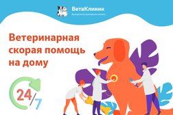 Вета, с рейтингом 4.9 - находится по адресу Московская область, Солнечногорск, Красная улица, 56 