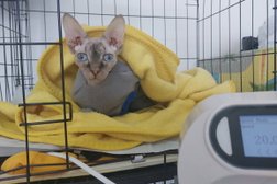 Ветеринарный госпиталь на улице Богдана Хмельницкого, 13а в Туапсе, с рейтингом 5 - находится по адресу Краснодарский край, Туапсе, улица Богдана Хмельницкого, 13А 