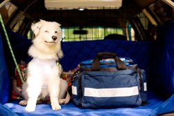 Скорая ветеринарная помощь АНИМАЛИЯ, с рейтингом 4.6 - находится по адресу Томская область, Северск, Коммунистический проспект, 107 