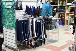 Магазины По Продаже Дорожных Конусов В Спб Магазины По Продаже Дорожных Конусов В Спб