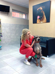 Ветеринарный врач-дерматолог, ветеринар Евгения Игоревна Пузырева