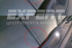 Expert