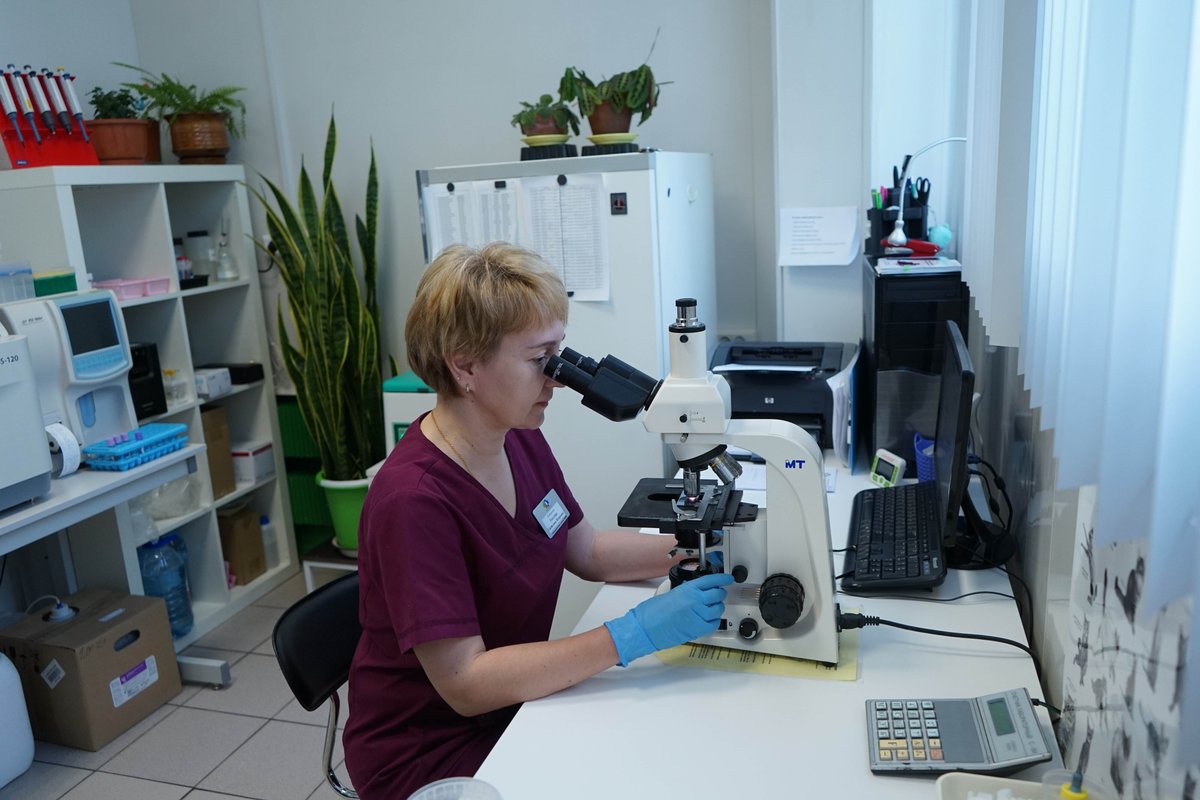 ахилл ветклиника на белозерской. ветеринарная клиника ахилл, москва. ветеринарная клиника ахилл на дубнинской. ветеринарная клиника белозерская 17 ахилл. 04.