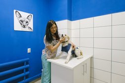 Ветеринарная клиника Реавет, с рейтингом 4 - находится по адресу Воронеж, улица Героев Сибиряков, 103 