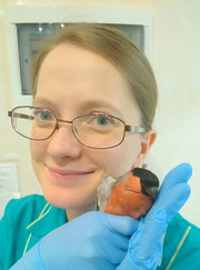 Ветеринарный стоматолог, ветеринар Анна Юрьевна Гончарова