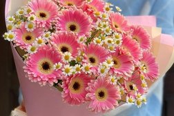 Салон цветов Белый лебедь, с рейтингом 3.6 - находится по адресу Московская область, Долгопрудный, проспект Пацаева, 18а 