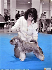 Грумер Анна Долгих