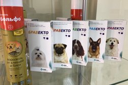 Ветеринарный кабинет на Советской улице, 95/1, с рейтингом 3.4 - находится по адресу Брянск, Советская улица, 95/1 