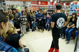 Дрессировка собак в Воронеже, с рейтингом 5 - находится по адресу  