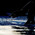 фотография I Like Swimming