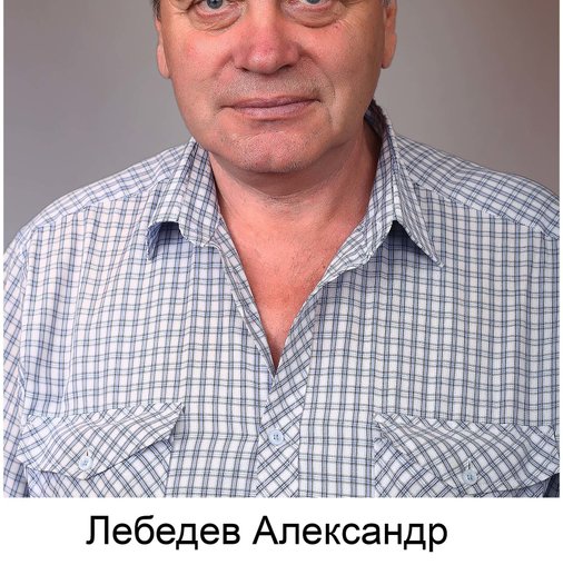 Александр Лебедев