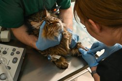 Ветеринарная клиника Рыжий Лис, с рейтингом 2.3 - находится по адресу Томск, улица Никитина, 76 