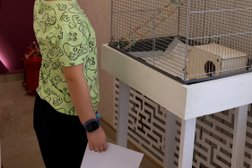 Стоматология №1, с рейтингом 4.7 - находится по адресу Пенза, улица Космодемьянской, 3Б 