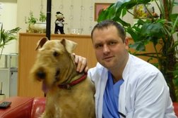 Ветеринарная клиника Айболит, с рейтингом 2.5 - находится по адресу Химки 