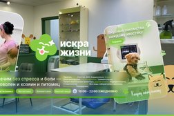 Ветеринарная клиника Искра Жизни, с рейтингом 4.8 - находится по адресу Москва, Ленинградский проспект, 27 