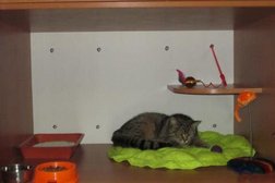 Ветеринарная клиника ЗооВита, с рейтингом 3.2 - находится по адресу Алматы, 1-й микрорайон, 40Б 