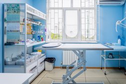 Ветеринарная клиника СОЛЯРИС, с рейтингом 4.9 - находится по адресу Сочи, Пластунская улица, 198а 