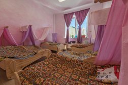 Большая черепаха