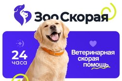 Ветеринарная клиника ЗооСкорая, с рейтингом 5 - находится по адресу Москва, Новоалексеевская улица, 12с1 