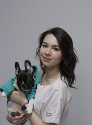 Ветеринарный врач-офтальмолог, ветеринар Вероника Азатовна Латыпова