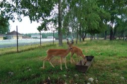 Туристическая компания Аркаим-трэвел, с рейтингом 4 - находится по адресу Екатеринбург, улица Хохрякова, 72 