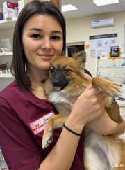 Ветеринарный врач-дерматолог, ветеринарный врач-терапевт Аделина Мансуровна Хайруллина