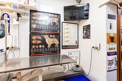 Ветеринарная клиника ZooMarkt, с рейтингом 4.7 - находится по адресу Московская область, пгт Некрасовский, Заводская улица, 1 к1 