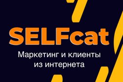 Студия интернет-рекламы и маркетинга Selfcat, с рейтингом 4.2 - находится по адресу Воронеж, Плехановская улица, 47 