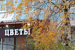 Цветочный магазин Цветы 24, с рейтингом 4.8 - находится по адресу Московская область, Балашиха, Звёздная улица, 14 