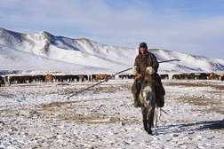 Туристское агентство A13 Travel & Leisure, с рейтингом 5 - находится по адресу Алматы, Пушкина, 83 