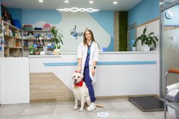 Центр ветеринарной медицины Клык+, с рейтингом 2.2 - находится по адресу Пермь, бульвар Гагарина, 70Б 